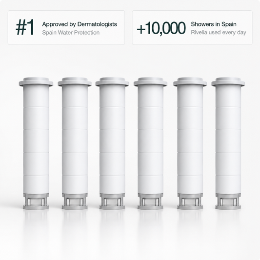 Pack of 6 Replacement Filters